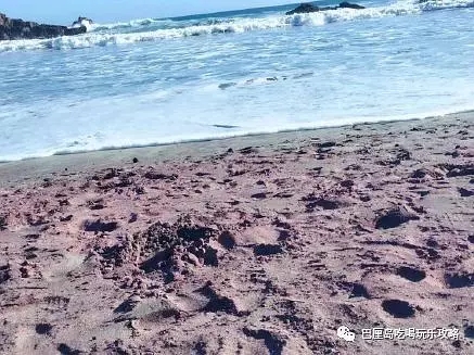 16.webp.jpg 爱旅拍-巴厘岛蜜月|旅行|婚礼|婚拍|一站式服务| 巴厘岛旅游,巴厘岛沙滩,白色沙滩,粉色沙滩,印度尼西亚龙目岛,红色沙滩,橙色沙滩,绿色沙滩,蓝色沙滩,紫色沙滩,黑沙滩,贝壳海滩,玻璃沙滩