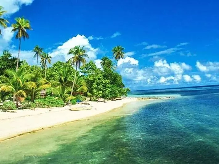 爱旅拍-巴厘岛蜜月|旅行|婚礼|婚拍|一站式服务|万吉万吉岛,卡莱杜帕岛,托米阿岛,比农科岛,瓦卡托比国家海洋公园,霍加岛,