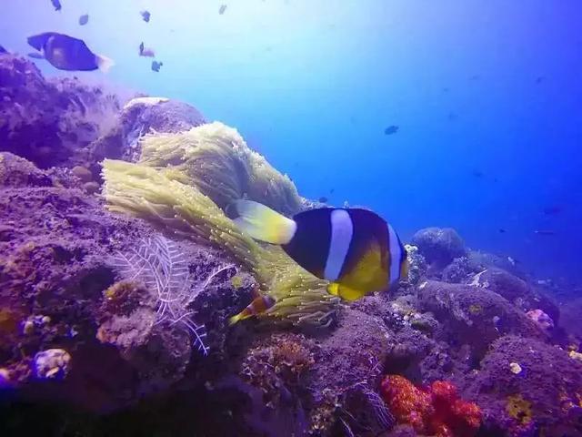 22.jpg 爱旅拍-巴厘岛蜜月|旅行|婚礼|婚拍|一站式服务|巴厘岛婚纱照,旅拍婚纱照,巴厘岛婚纱摄影,旅拍,海外婚礼,巴厘岛婚礼,婚纱照,广州婚纱照,婚纱摄影,巴厘岛婚纱摄影哪家好