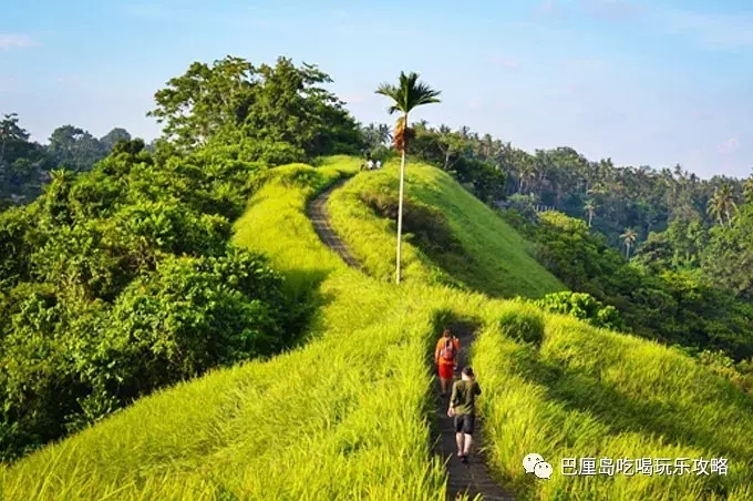 爱旅拍-巴厘岛蜜月|旅行|婚礼|婚拍|一站式服务|巴厘岛婚拍,巴厘岛旅游,巴厘岛攻略,乌布,阿勇河漂流,ins网红秋千,