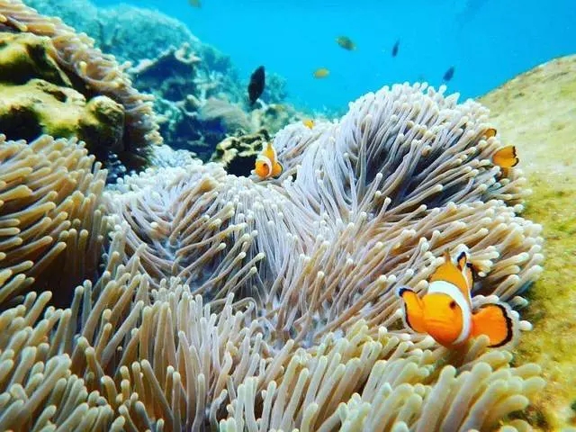 巴杜爾小島,潛水勝地,瀑布,國家公園,阿貢火山,pulau peuceng,紅樹林